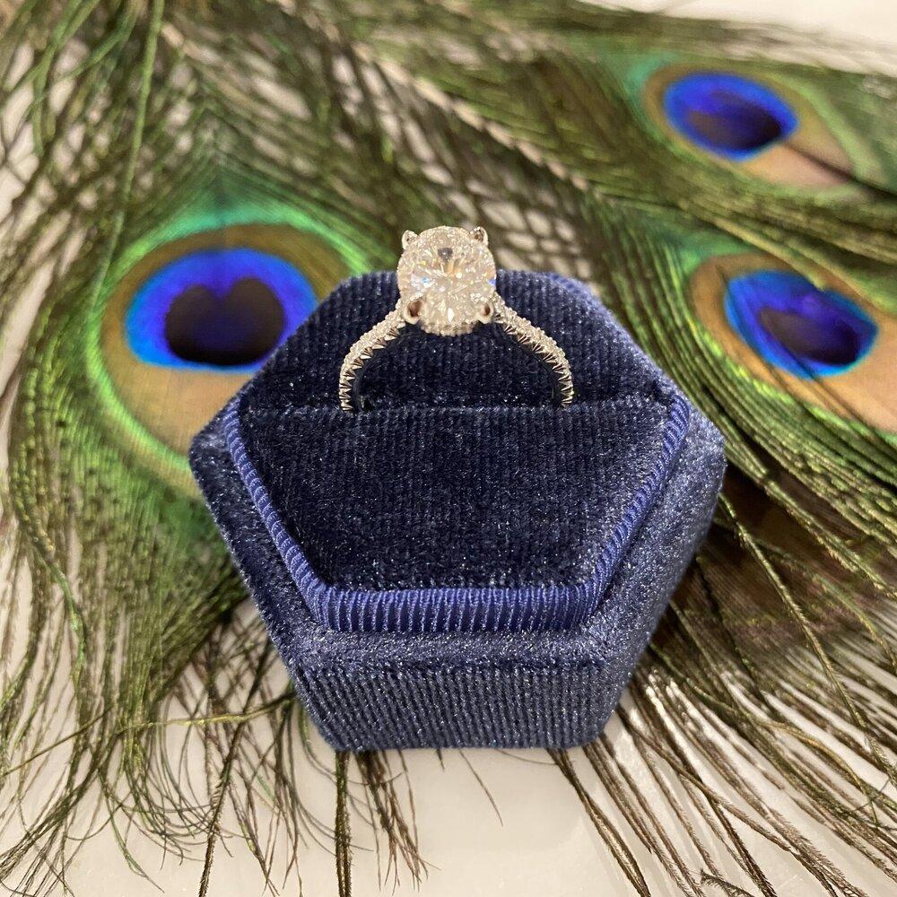 Soleil Hidden Halo French Pave Solitaire Ring in 14K White Gold by Lumeniri